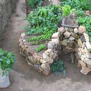 Keyhole Garden