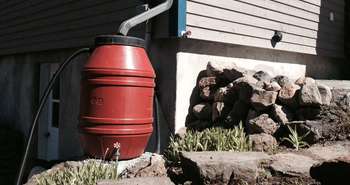 Rain barrels for storm water management and rainwater harvesting