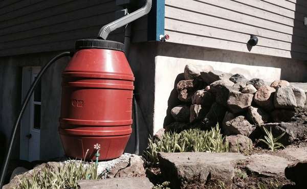 Rain barrels for storm water management and rainwater harvesting