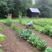 Alex and Jerelyn Wilson's Vermont farm