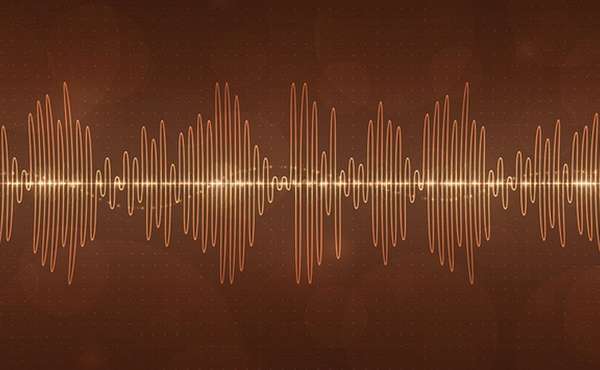 Techniques for reducing sound transmission in buildings