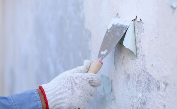 Lead paint peeling off a wall being scraped
