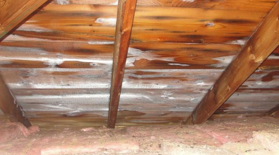 Frost In Attics What Causes Attic Ice How To Fix It Ecohome