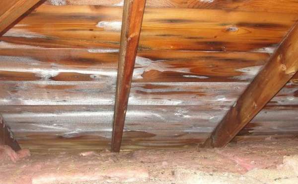 Frost in attics: what causes attic ice? How to fix it?