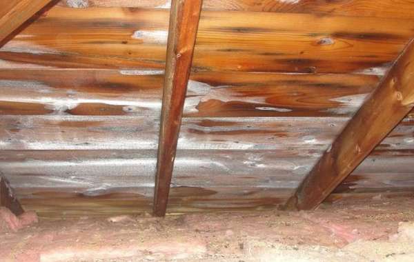 Frost in Attics: What causes Attic Ice? How to Fix it?
