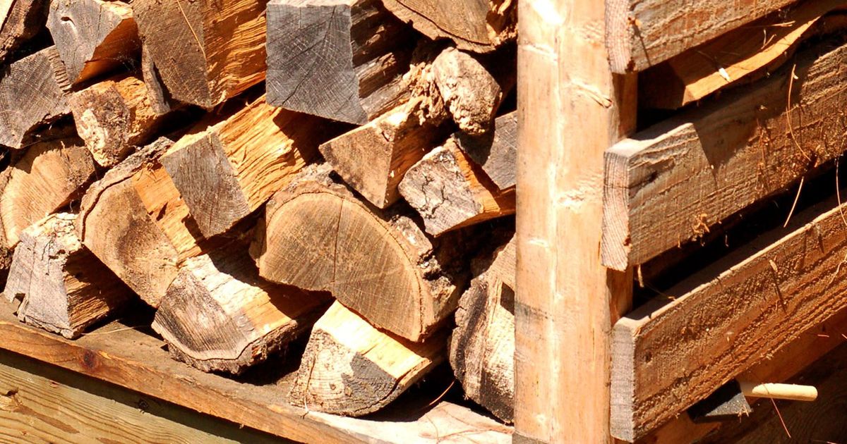 Which Wood Burns the Hottest? The Best Firewood Choices... Ecohome