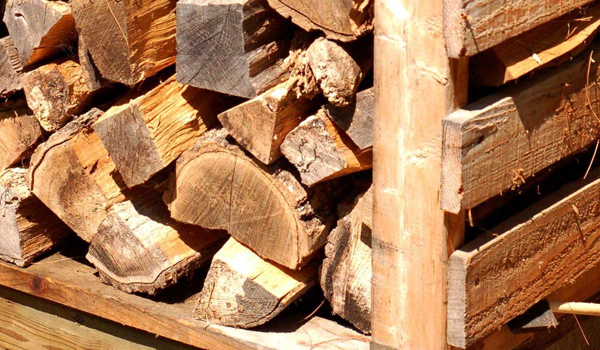 Choosing the right firewood for maximum heat