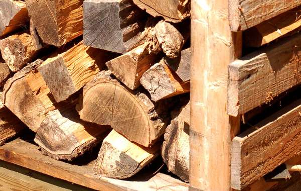 Choosing the right firewood for maximum heat