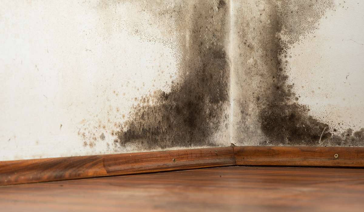 Poly vapour barriers in air conditioned houses can cause mold and rot