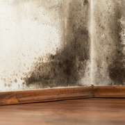 Poly vapour barriers in air conditioned houses can cause mold and rot