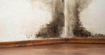 Poly vapour barriers in air conditioned houses can cause mold and rot