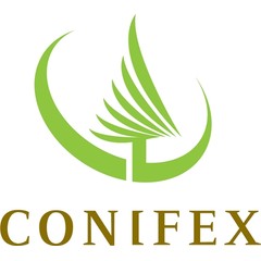 Conifex Timber