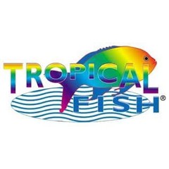 Tropical Fish