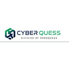 Cyber Quess
