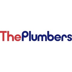 The Plumbers