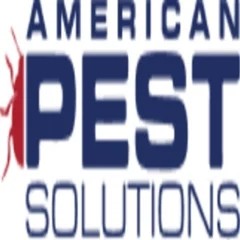 American Pest Solutions