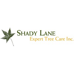 Shady Lane Expert Tree Care