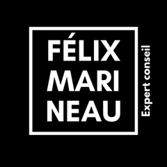 Felix Marineau expert-conseil inc.