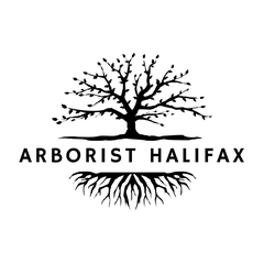 Arborist Halifax