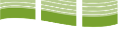 Live Edge Design