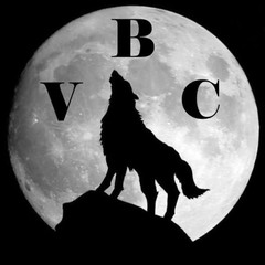 VILLALOBOS BROTHERS CONSTRUCTION LLC