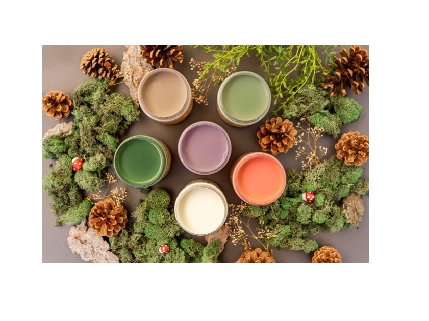 Paints & Primers Dixie Belle Chalk Mineral Paint by Dixie Belle Paint