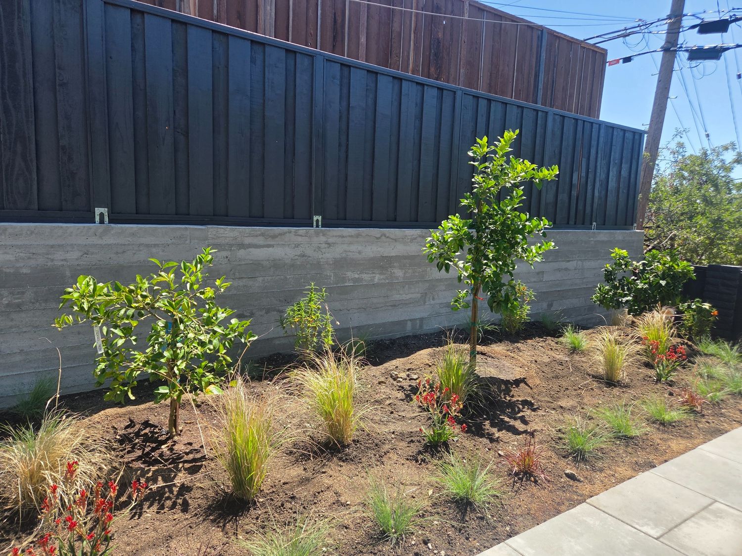 Jardin potager d'un projet de Cuisines extérieures près de San Francisco Bay de Contractors Central