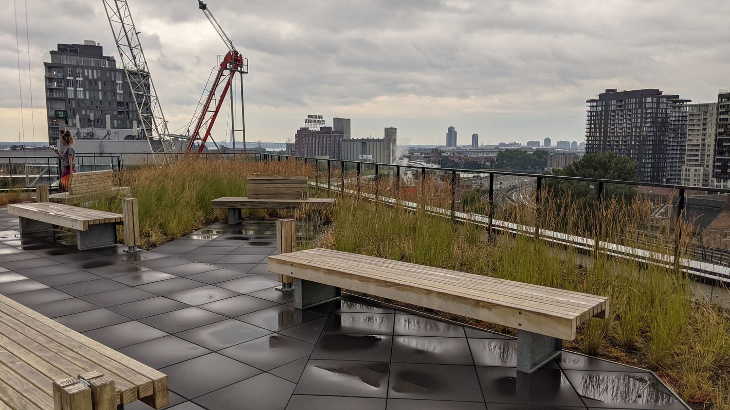 Toit terrasse d'un projet de Toitures végétalisées près de Montréal/Laval/Longueuil (Grand Montréal) de La Ligne Verte : Toit vert inc.