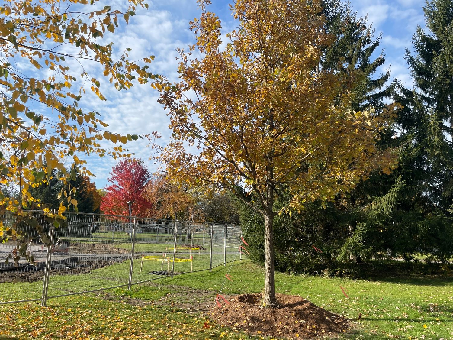 Jardin potager d'un projet de Agriculture urbaine près de Montréal/Laval/Longueuil (Grand Montréal) de Paysage imaginaire