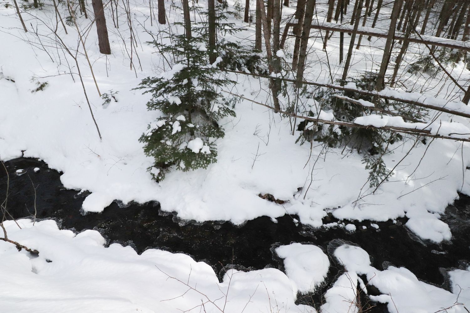 Vue aérienne d'un projet de Maisons unifamiliales près de Sherbrooke (Estrie) de Claire Derome • courtière en immobilier résidentiel