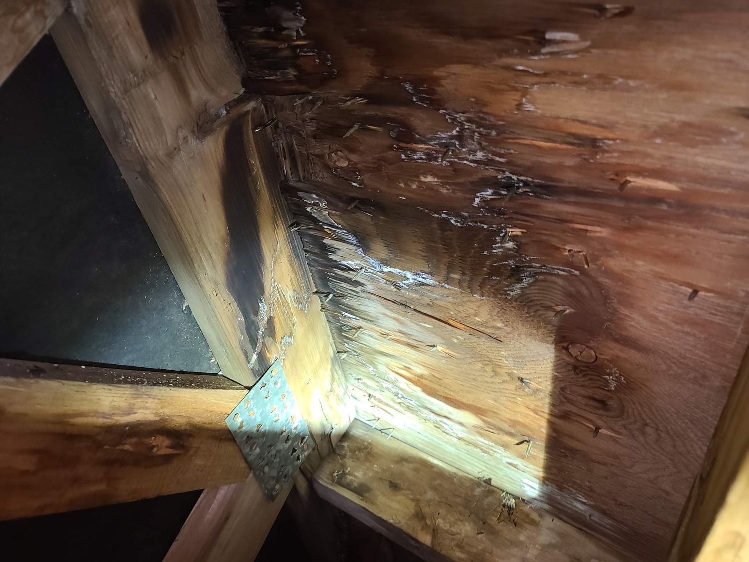 Travaux - Intérieur d'un projet de Inspections de bâtiment près de Montréal/Laval/Longueuil (Grand Montréal) de Allo Inspecteur