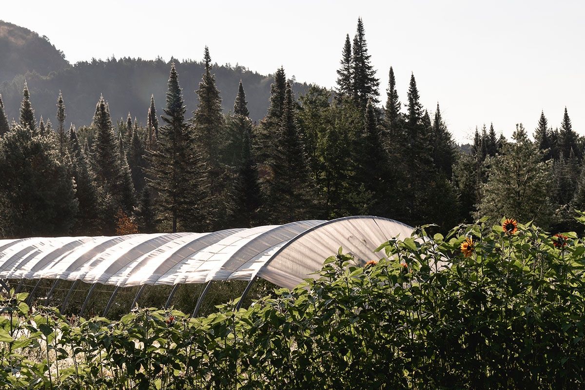 Greenhouse from a Urban Agriculture project near Saint-Jerome (Laurentides) by Atelier L'Abri