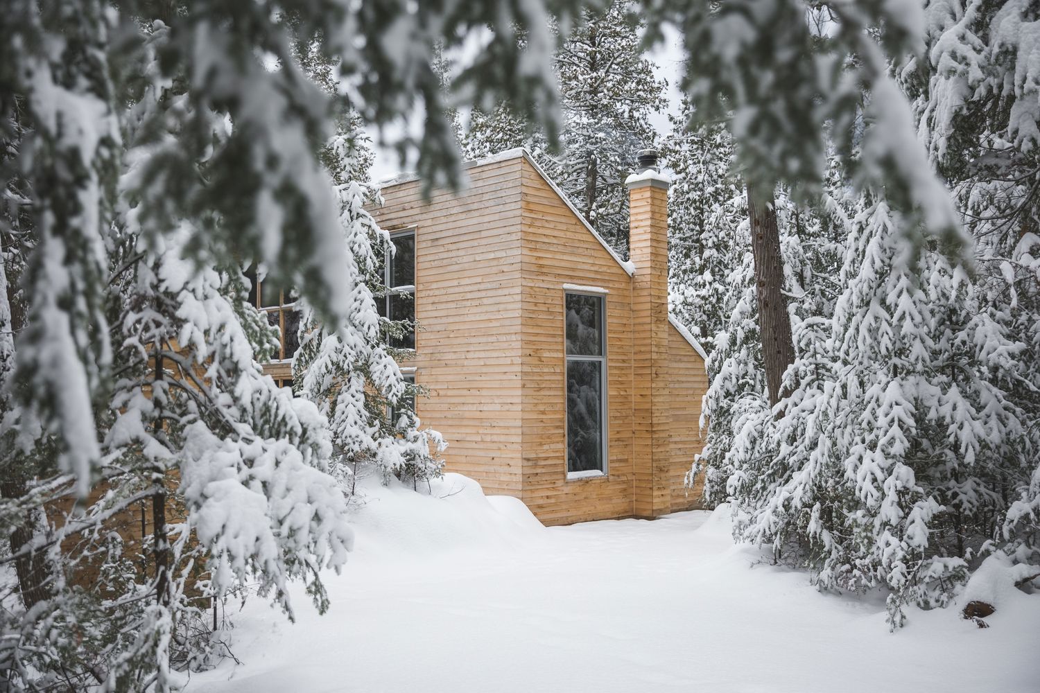 Backyard from a Tiny Houses project near Gatineau (Outaouais) by Atelier L'Abri