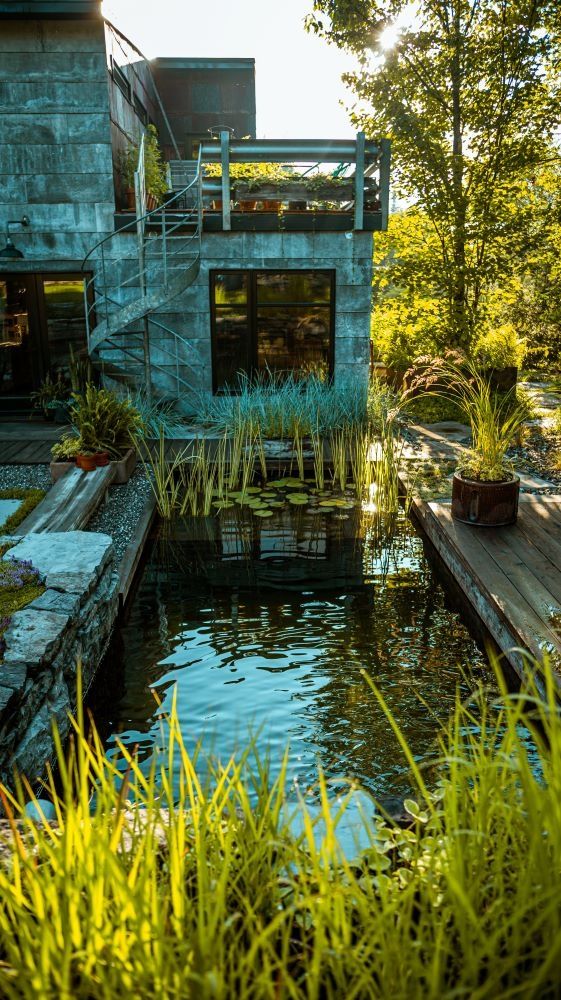 Backyard from a Natural swimming pools project near Quebec City - Levis by Repères