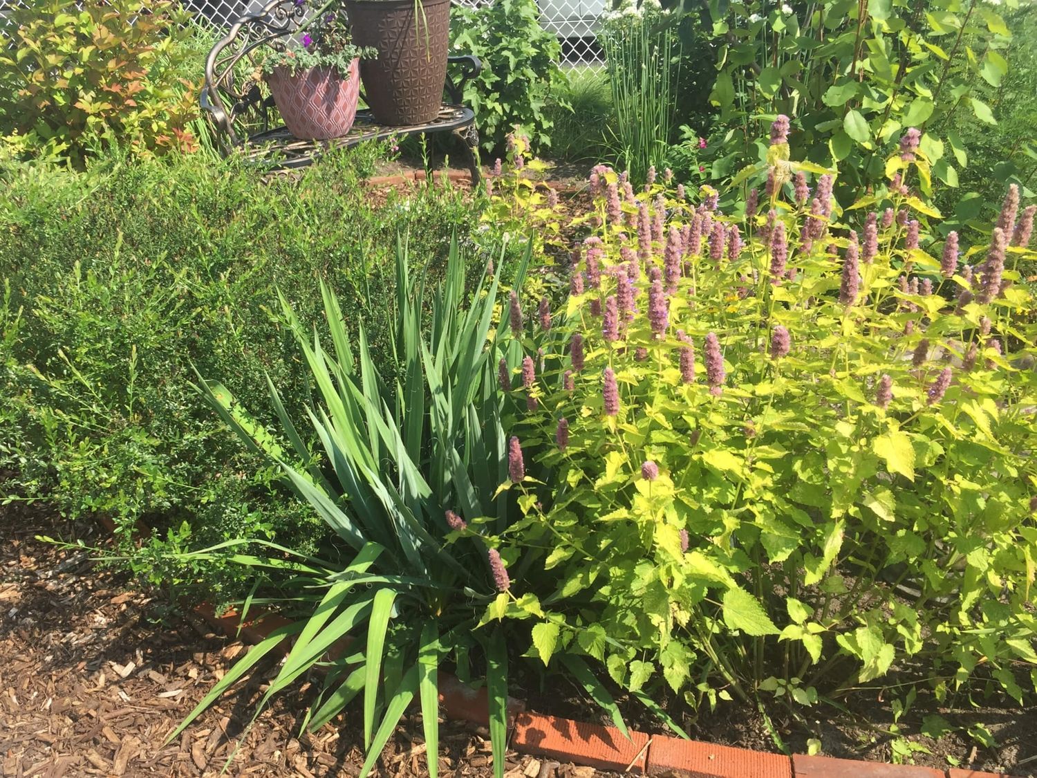 Jardin potager d'un projet de Aménagement du territoire rural et régional près de Joliette (Lanaudière) de Paysage imaginaire