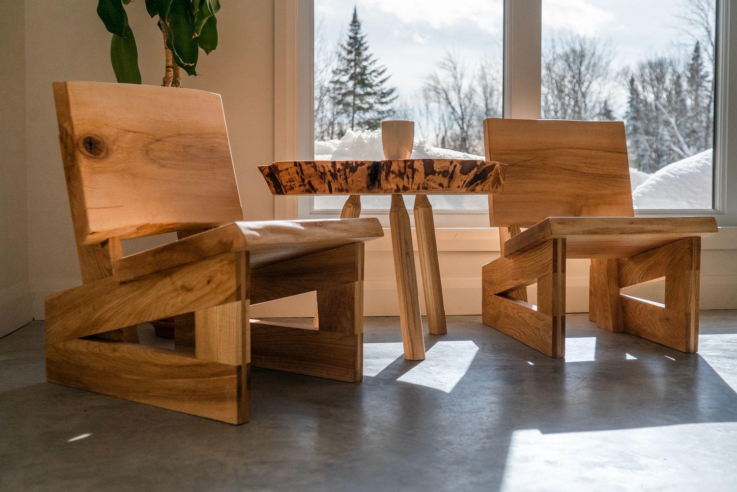 Sala de un proyecto de tipo Muebles cerca de Ciudad de Quebec - Lévis por BIOPHIL.co