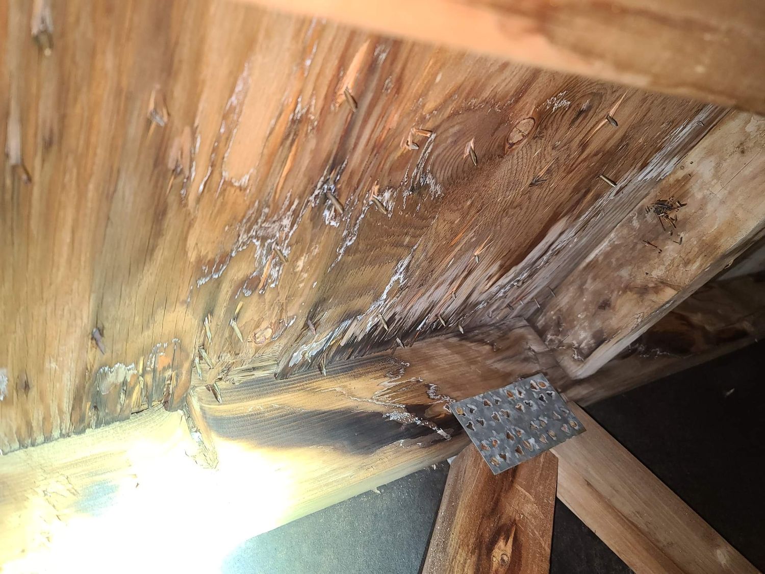 Travaux - Intérieur d'un projet de Inspections de bâtiment près de Montréal/Laval/Longueuil (Grand Montréal) de Allo Inspecteur