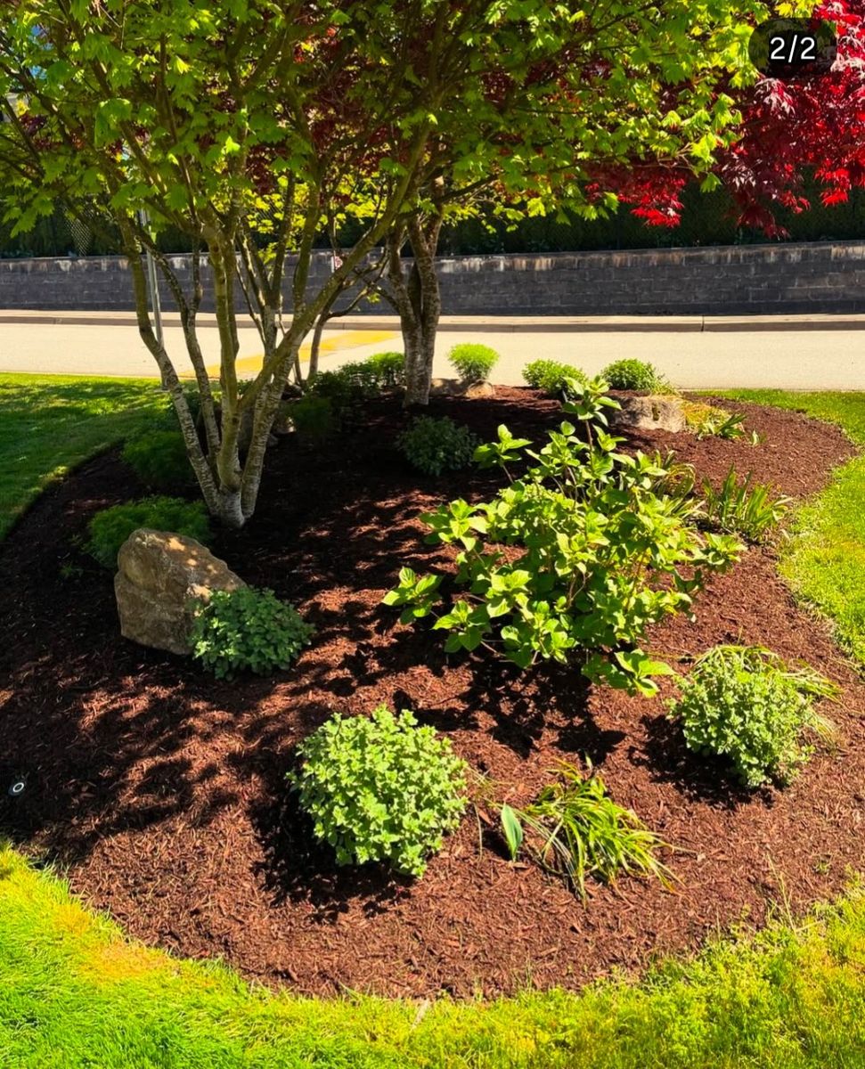 Plate-bande d'un projet de Pelouse écologique près de Vancouver (Région du Grand Vancouver) de Aurora Landscaping