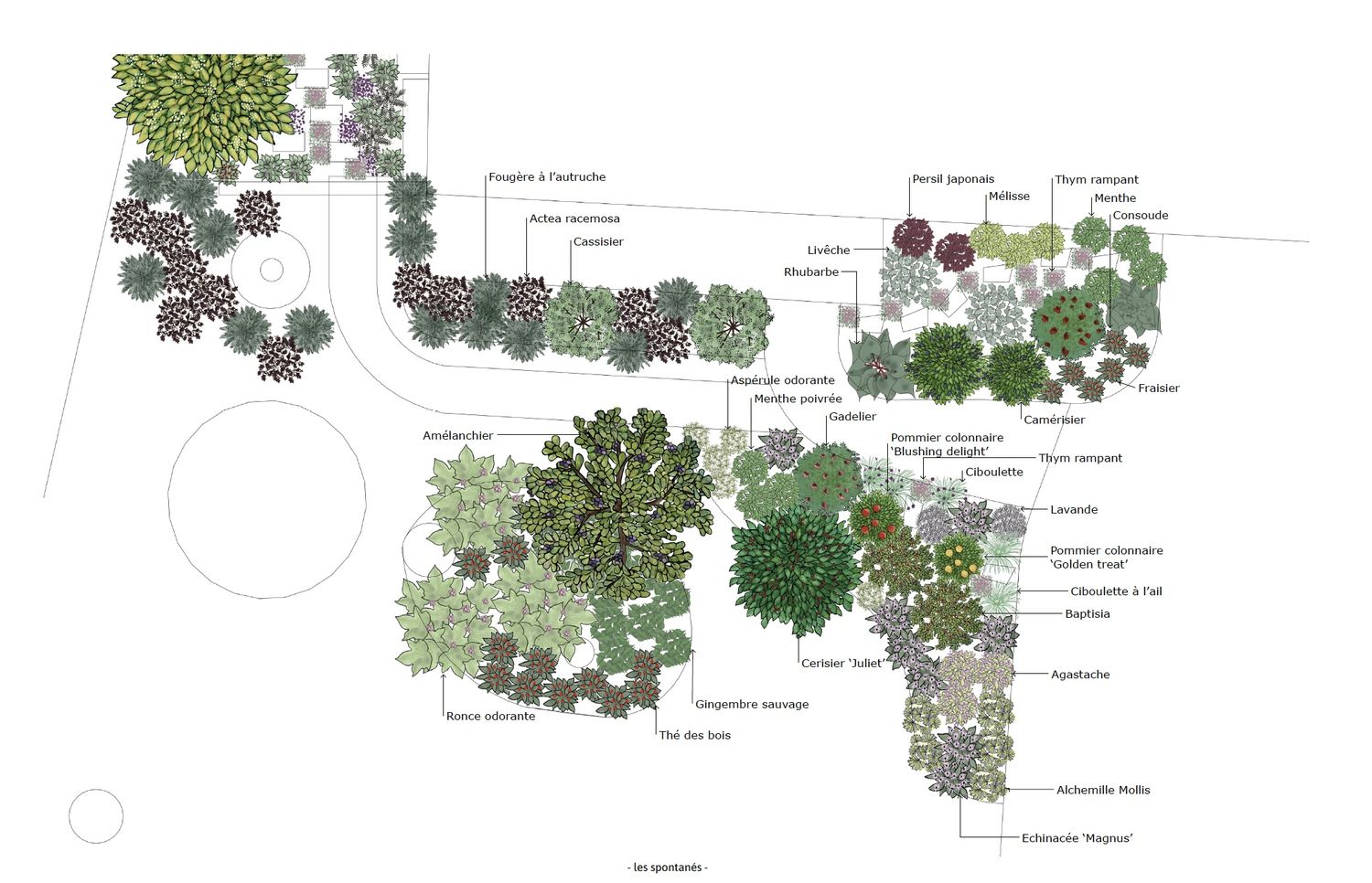 Landscaping Plan from a Landscaping project near Saint-Jean-sur-Richelieu (Montérégie) by les spontanés