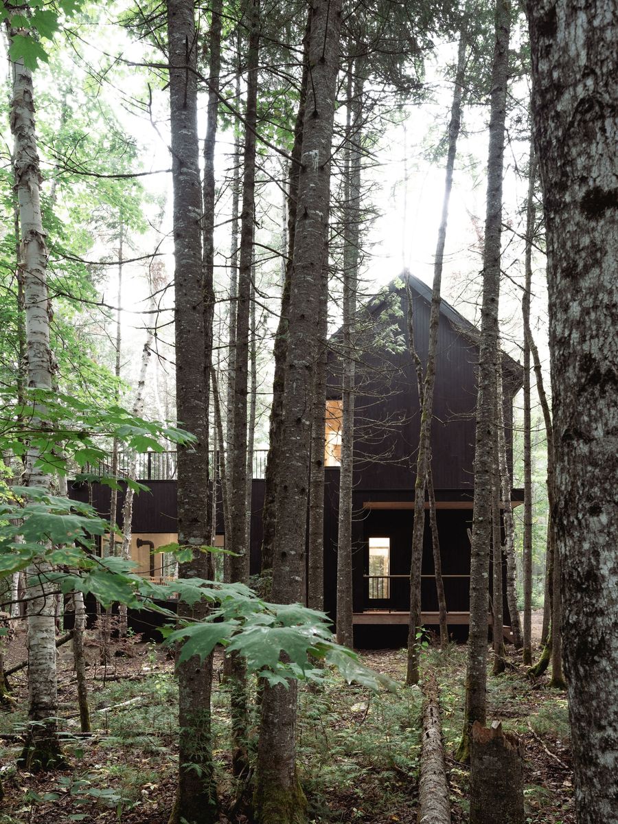 Cour arrière d'un projet de Maisons unifamiliales près de Joliette (Lanaudière) de Atelier L'Abri