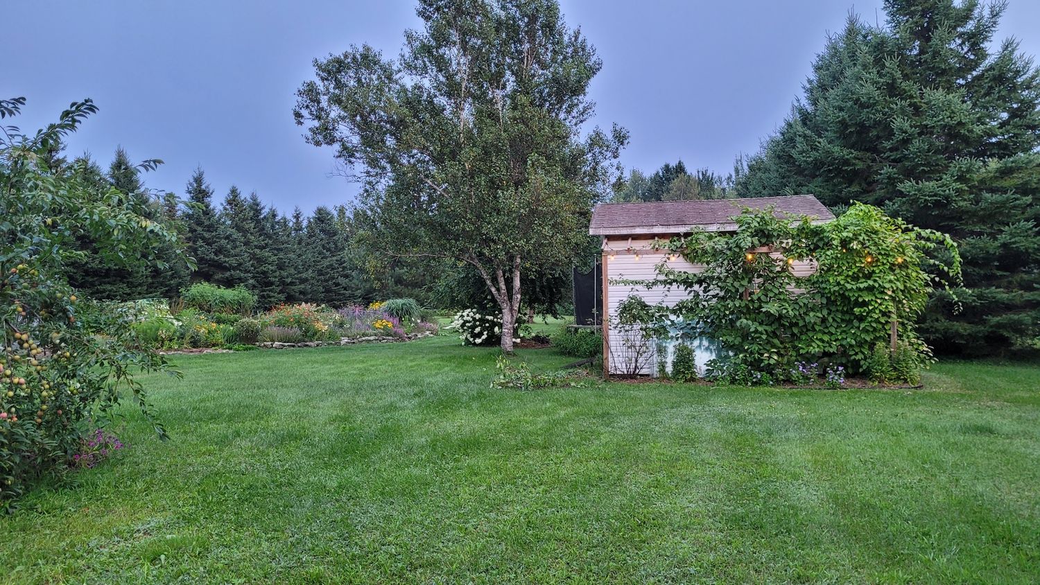 Backyard from a Landscaping project near Quebec City - Levis by AgroME-Consultant