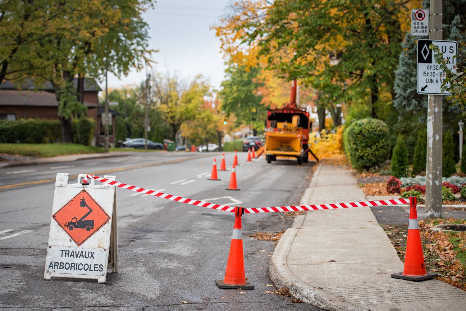 Travaux - Aménagement paysager d'un projet de Arbres près de Montréal/Laval/Longueuil (Grand Montréal) de Arboplus inc.
