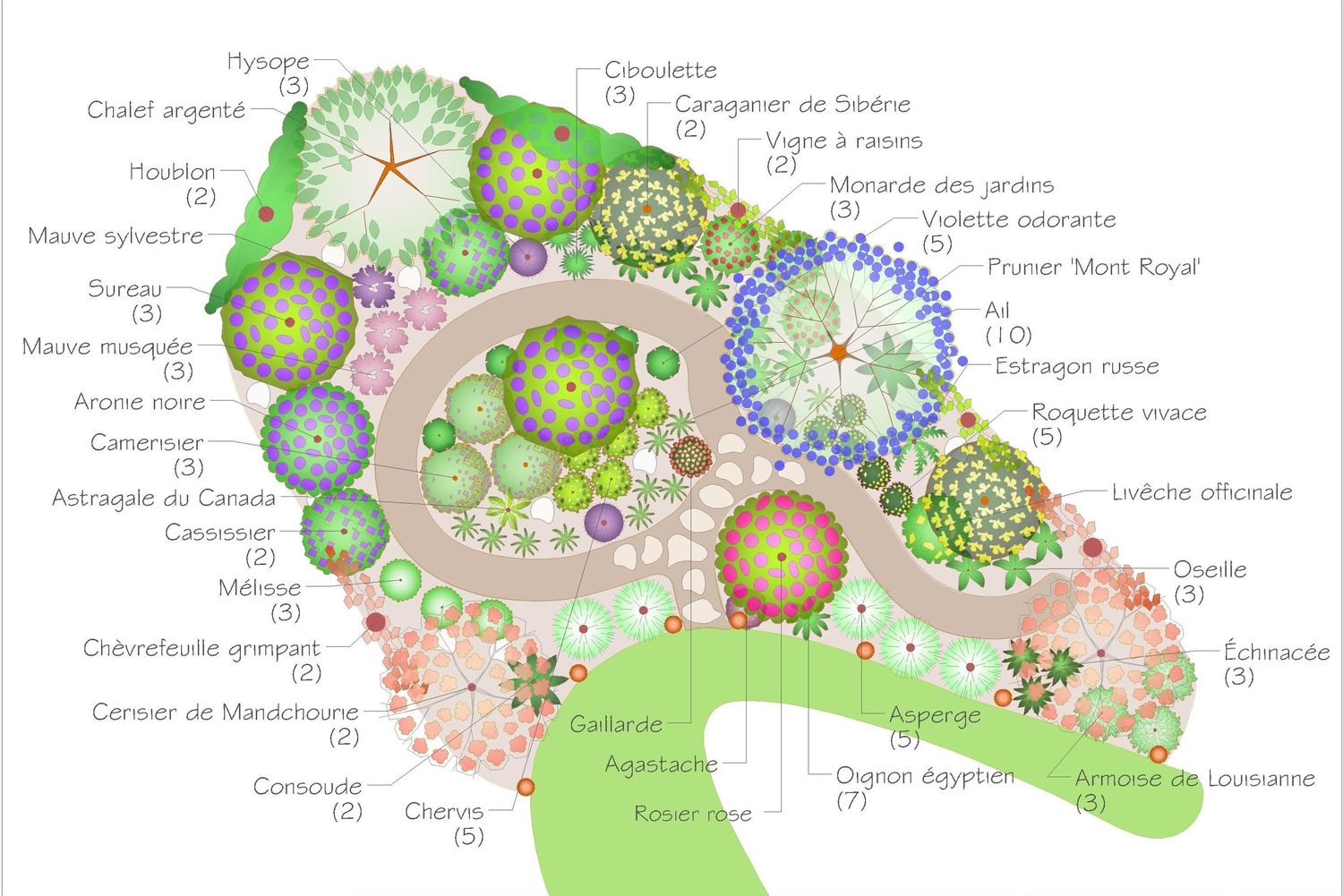 Plan d'aménagement paysager d'un projet de Aménagement paysager près de Montréal/Laval/Longueuil (Grand Montréal) de Paysage gourmand