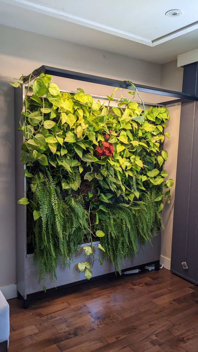 Huerto de un proyecto de tipo Muros verdes cerca de Montreal (Gran Montreal) por La Ligne Verte : Toit vert inc.