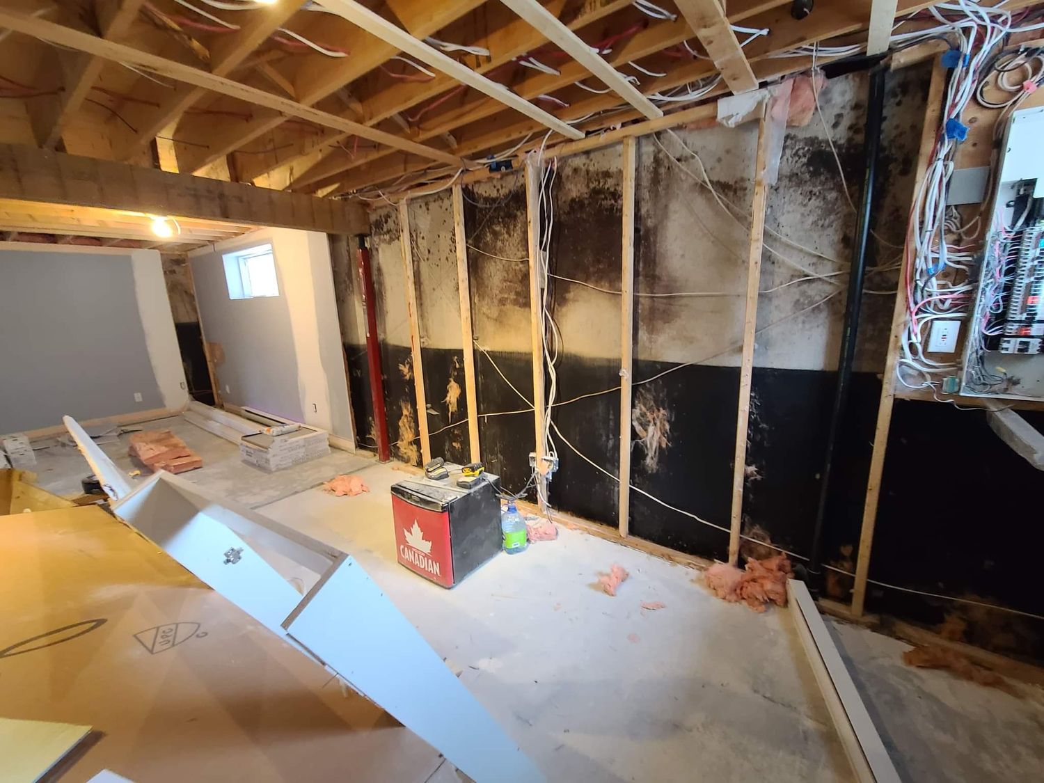 Structures et ossatures d'un projet de Sous-sols près de Montréal/Laval/Longueuil (Grand Montréal) de Allo Inspecteur