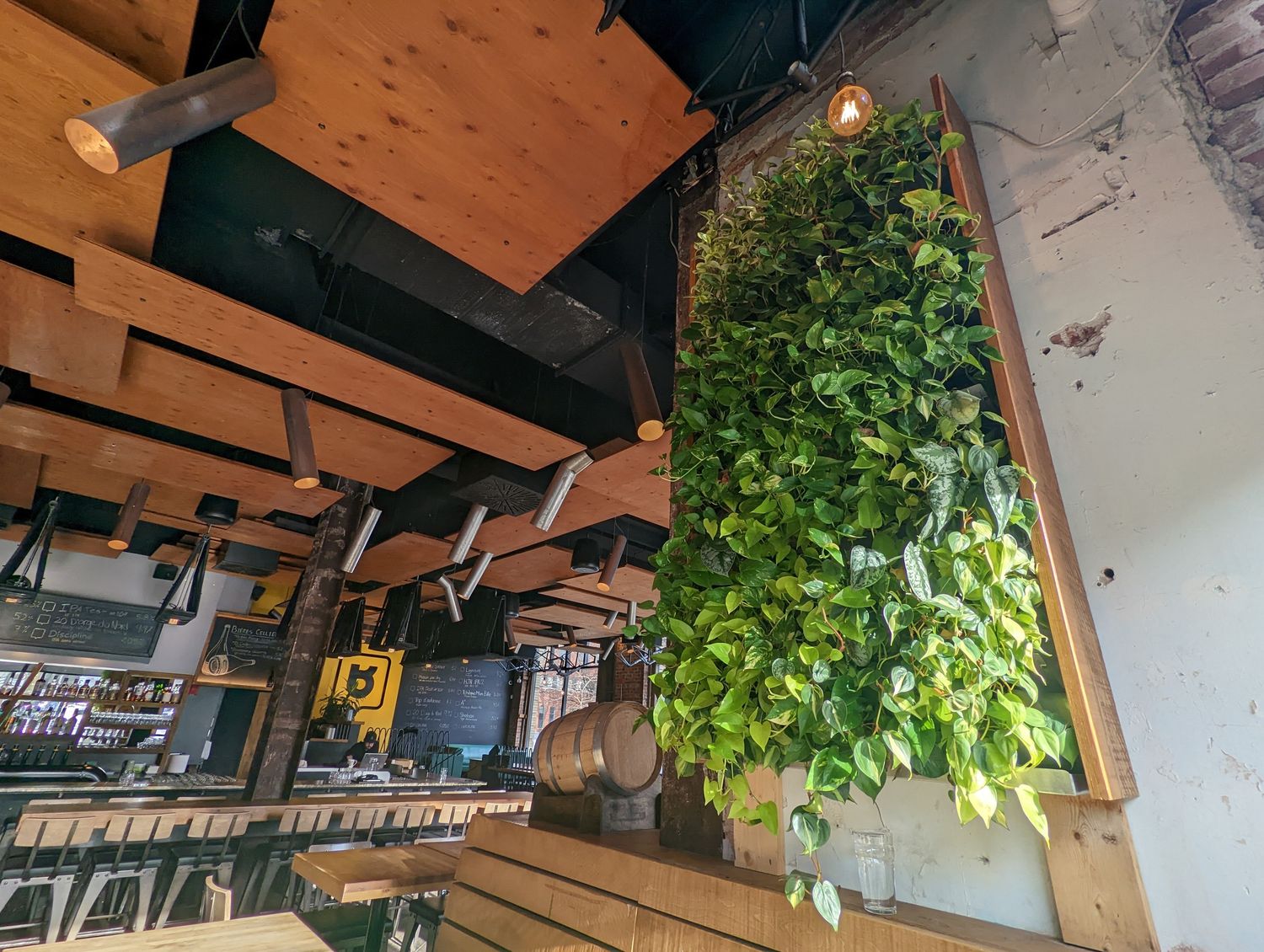Salle à manger d'un projet de Murs végétaux près de Montréal/Laval/Longueuil (Grand Montréal) de La Ligne Verte : Toit vert inc.