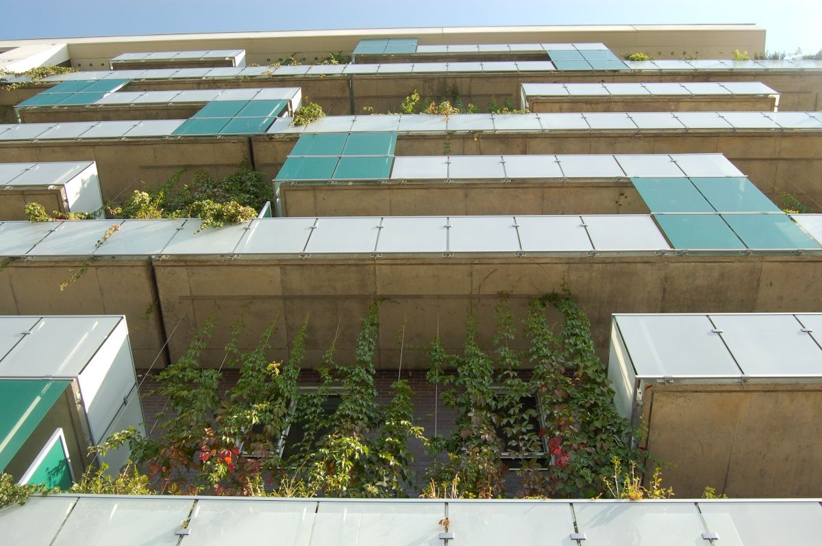 Terrasse et balcon d'un projet de Murs végétaux près de Montréal/Laval/Longueuil (Grand Montréal) de La Ligne Verte : Toit vert inc.