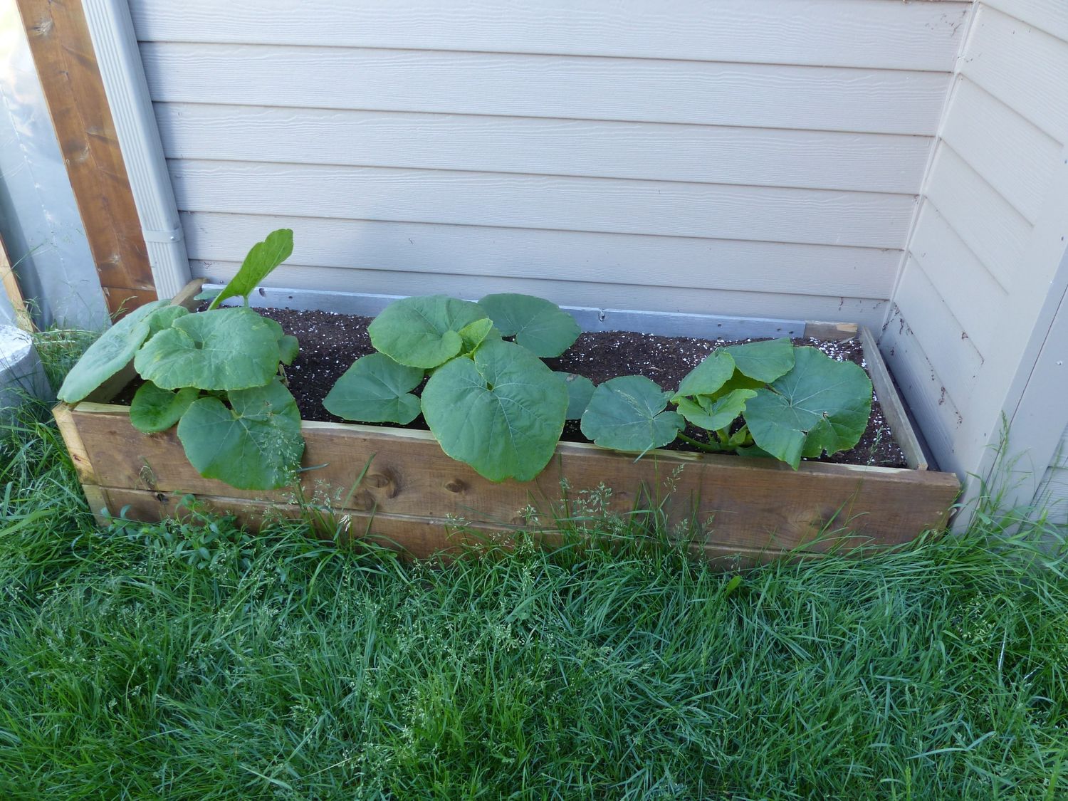 Garden from a Urban Agriculture project near Quebec City - Levis by AgroME-Consultant