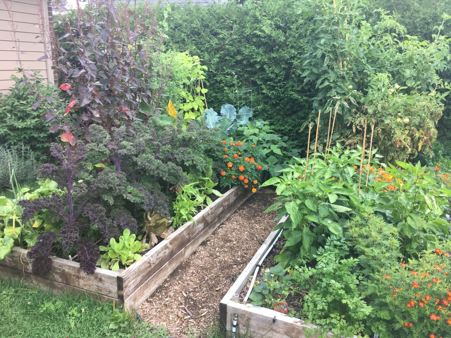 Huerto de un proyecto de tipo Agricultura urbana cerca de Ciudad de Quebec - Lévis por AgroME-Consultant