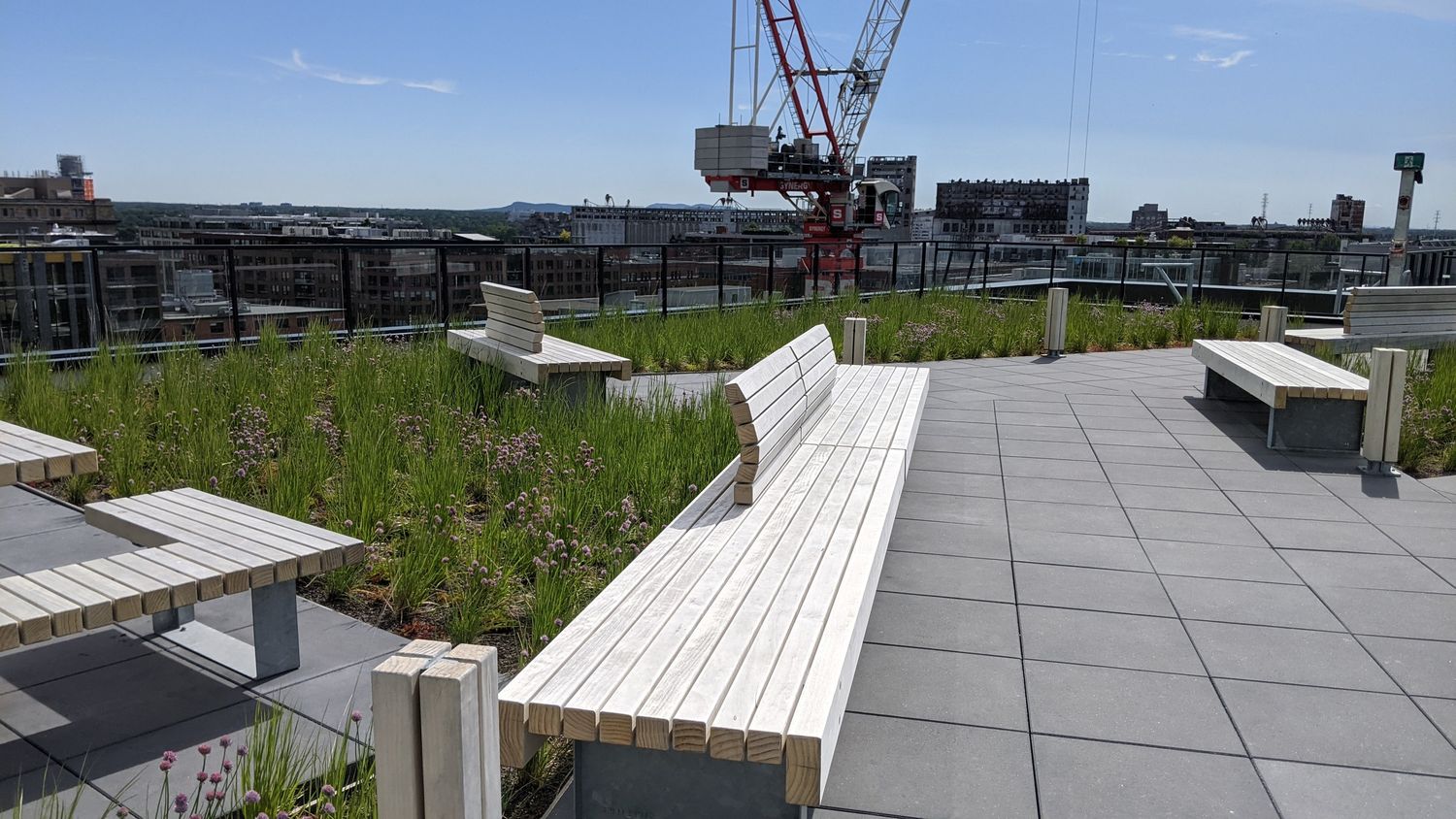 Toit terrasse d'un projet de Toitures végétalisées près de Montréal/Laval/Longueuil (Grand Montréal) de La Ligne Verte : Toit vert inc.